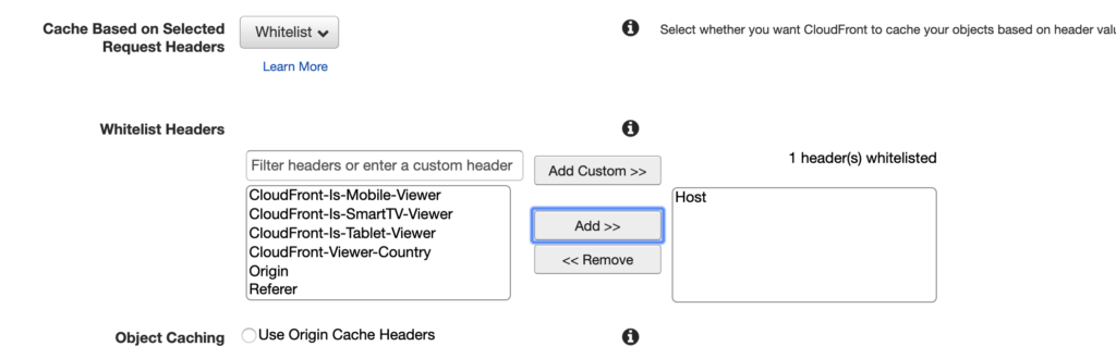 Custom Domain